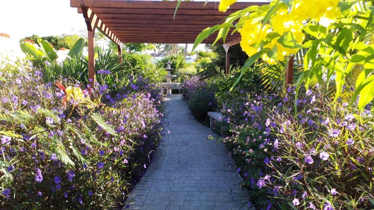 Parque Don Jose, Casa Antonella Costa Del Silencio Ngoại thất bức ảnh