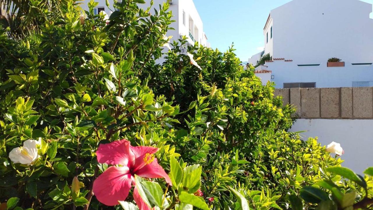 Parque Don Jose, Casa Antonella Costa Del Silencio Ngoại thất bức ảnh